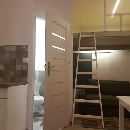 Apartamencik Z Ogrodkiem 公寓 *